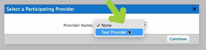 Select provider name